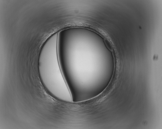 X0000111120481200906301045