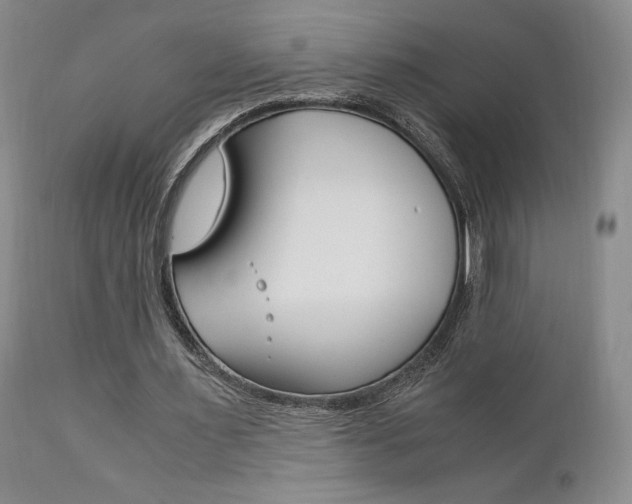 X0000111120483200906301045