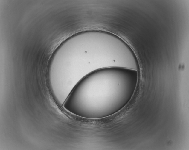 X0000111120485200906301045