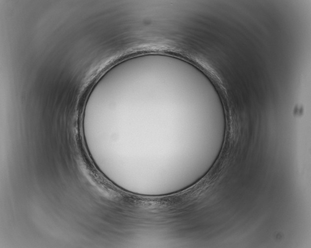 X0000111120486200906301045