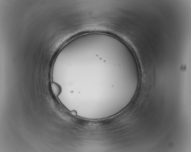 X0000111120487200906301045