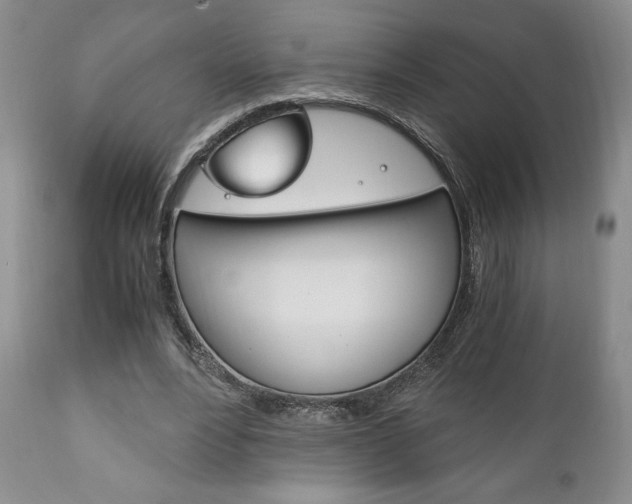 X0000111120488200906301045