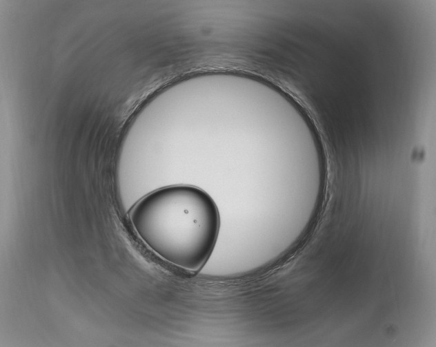 X0000111120489200906301045