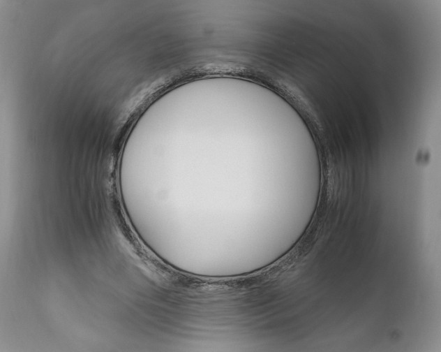 X0000111120490200906301045