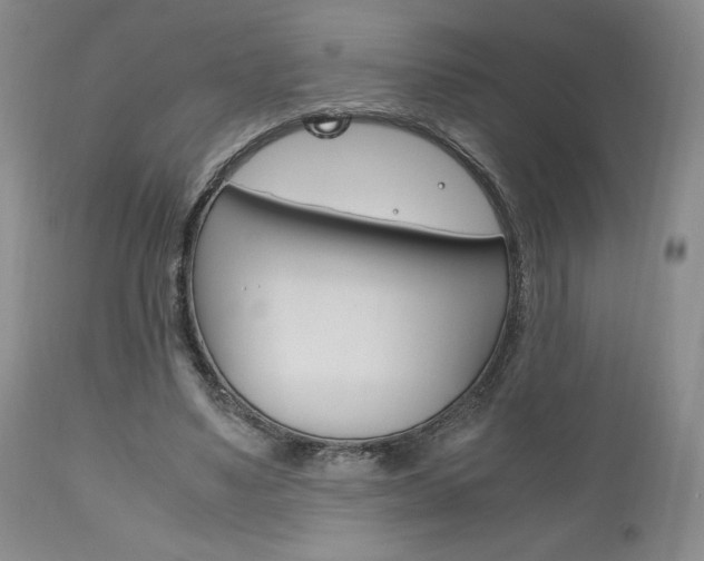 X0000111120491200906301045