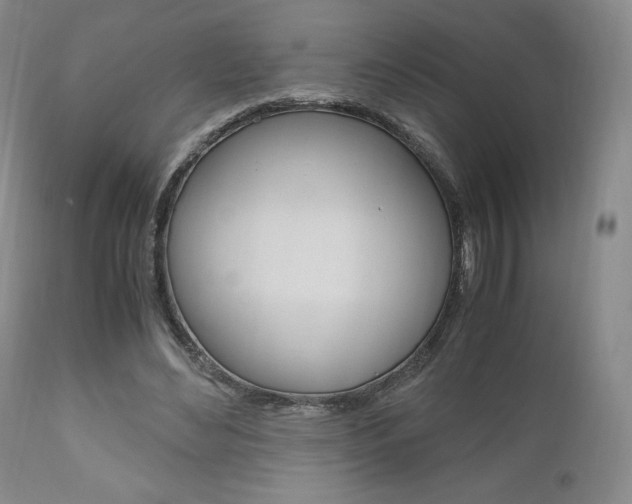 X0000111120492200906301045