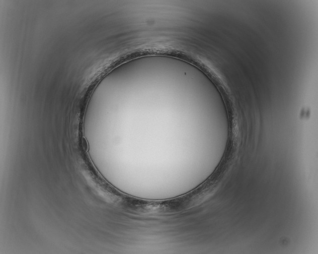 X0000111120493200906301045