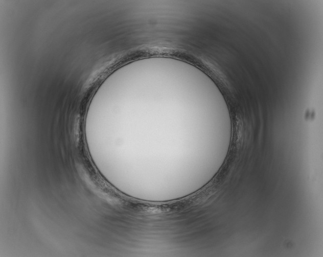 X0000111120494200906301045