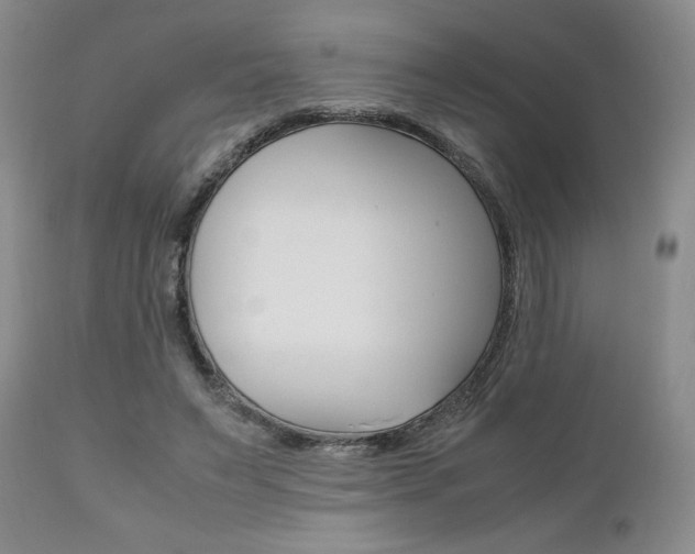 X0000111120495200906301045