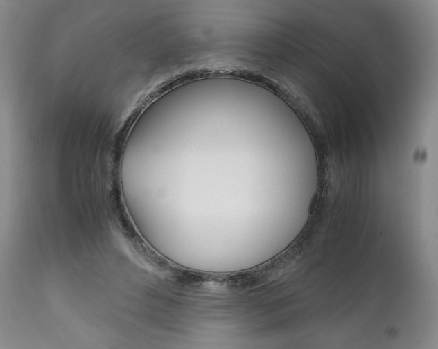 X0000111120496200906301045