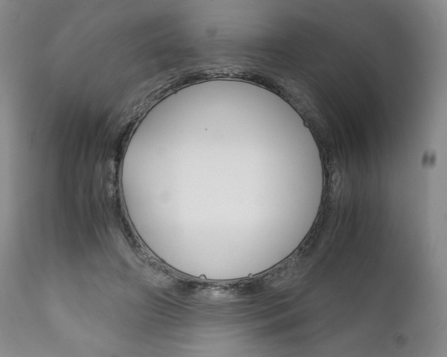 X0000111120498200906301045
