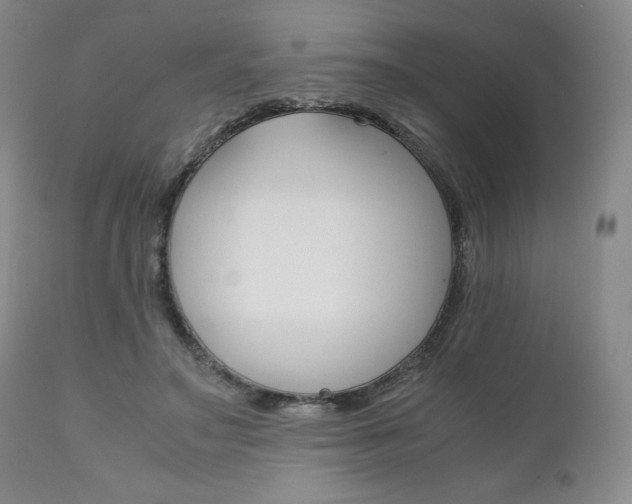 X0000111120499200906301045