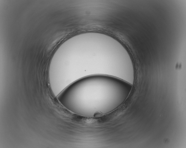 X0000111120501200906301045