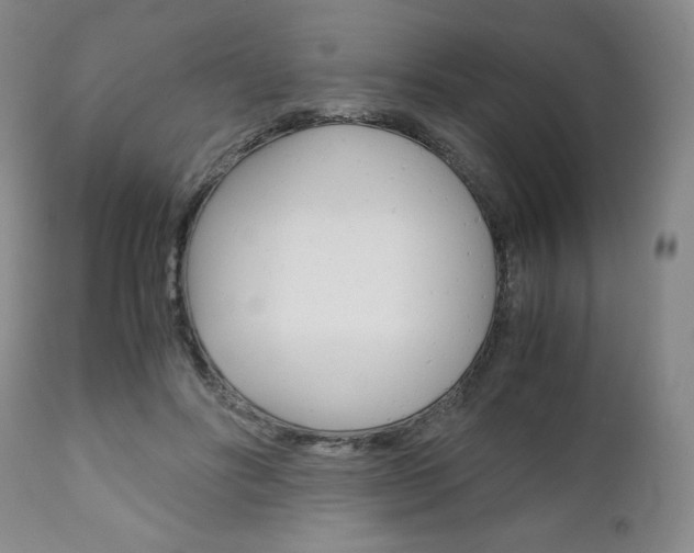 X0000111120502200906301045