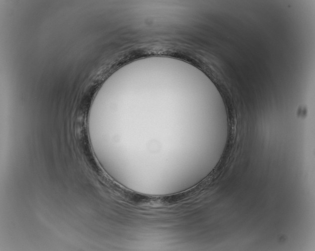 X0000111120503200906301045