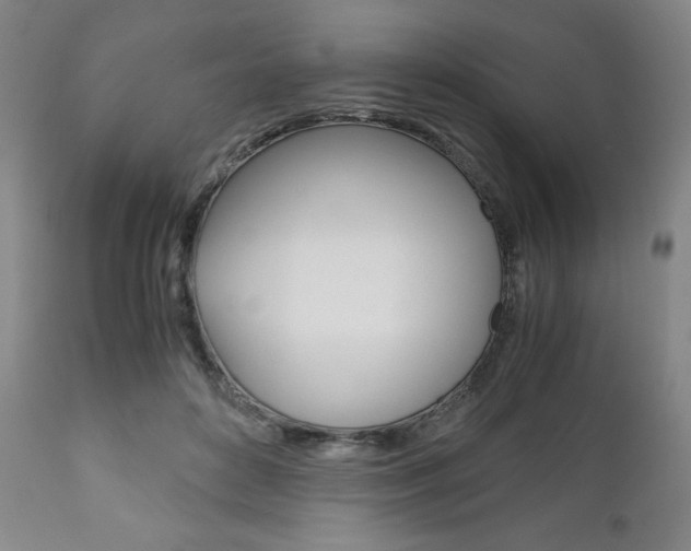 X0000111120504200906301044