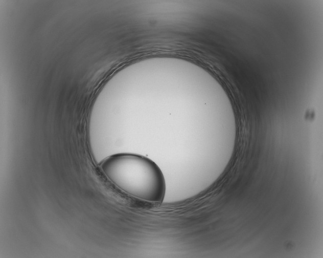 X0000111120505200906301044