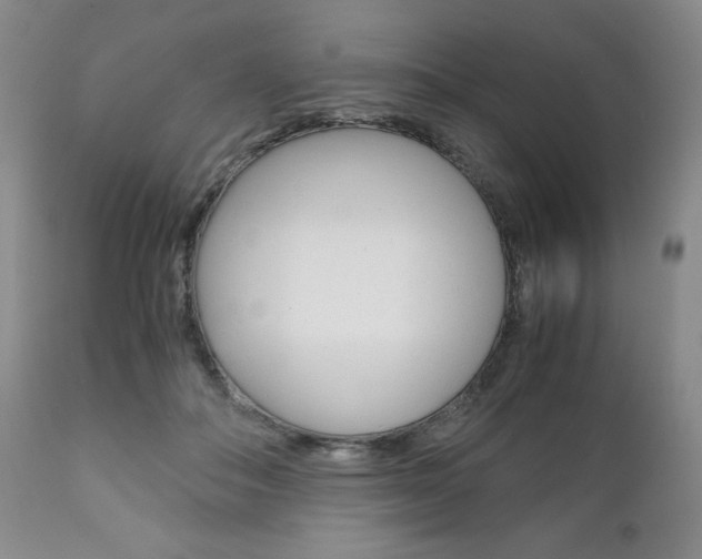 X0000111120506200906301044