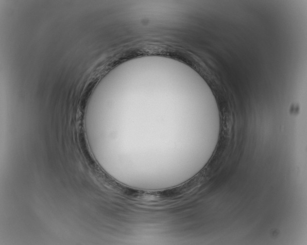 X0000111120507200906301044