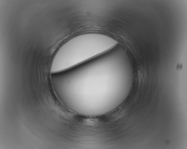 X0000111120508200906301044