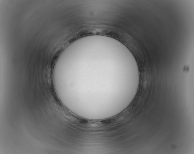 X0000111120510200906301044