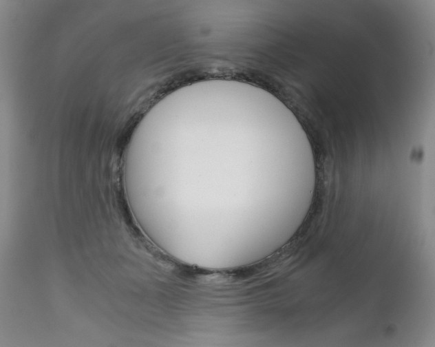 X0000111120511200906301044