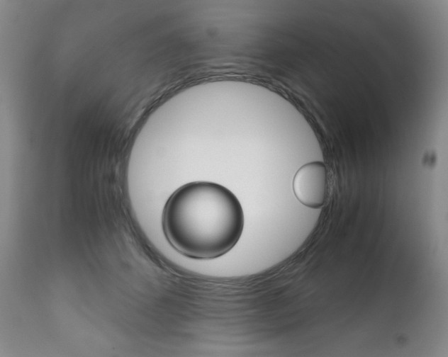 X0000111120512200906301044