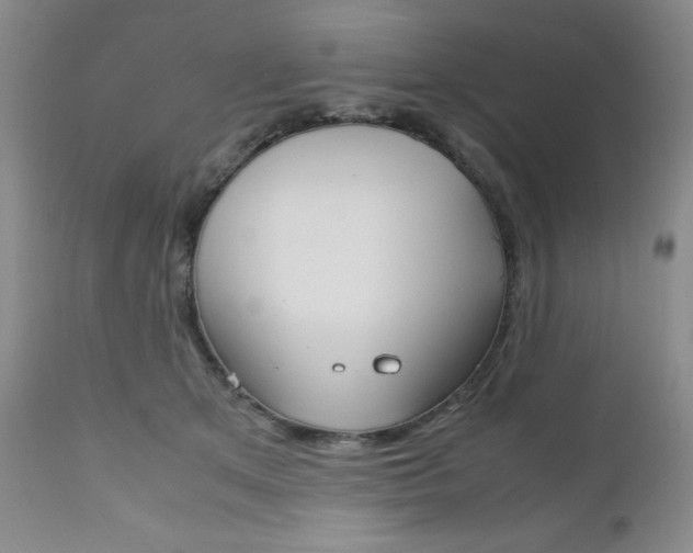 X0000111120513200906301044
