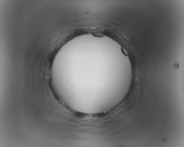 X0000111120515200906301044