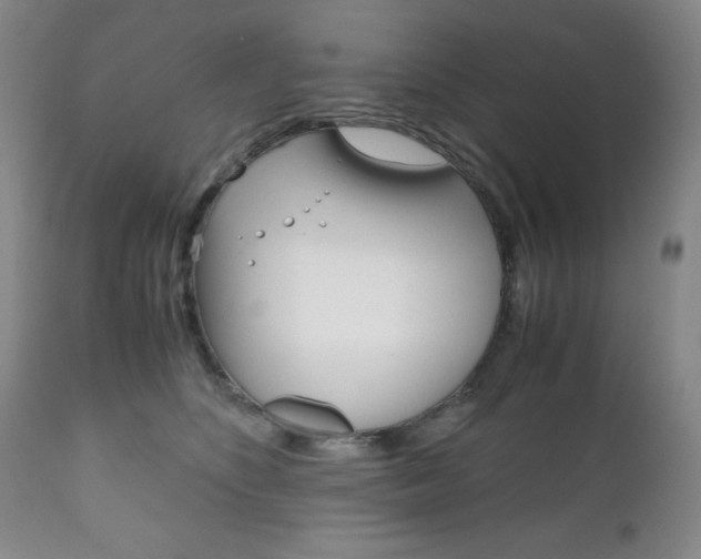 X0000111120516200906301044