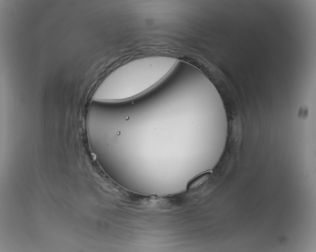 X0000111120517200906301044