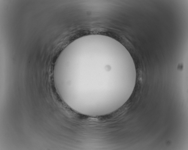 X0000111120519200906301044