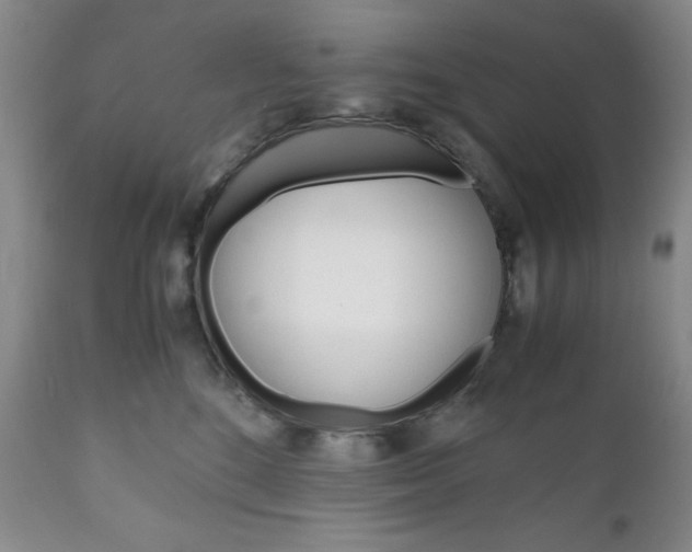 X0000111120520200906301044