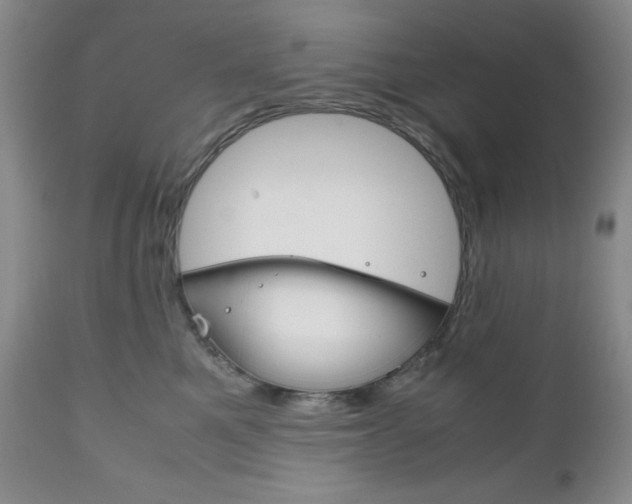 X0000111120521200906301044
