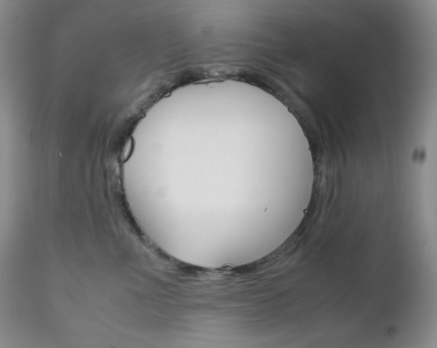 X0000111120523200906301044