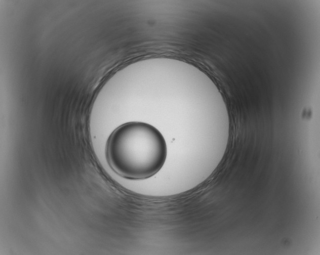 X0000111120524200906301044