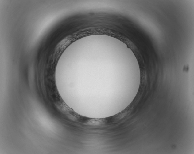 X0000111120526200906301044