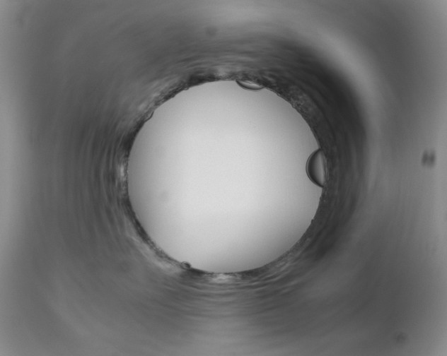 X0000111120527200906301044