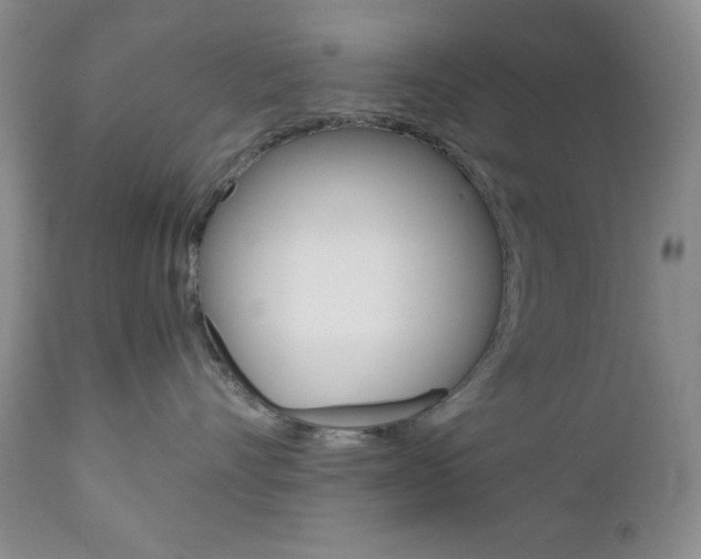 X0000111120528200906301044