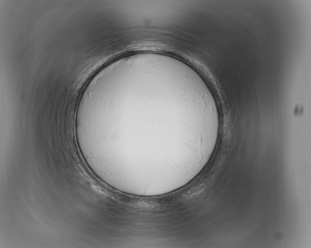 X0000111120529200906301044