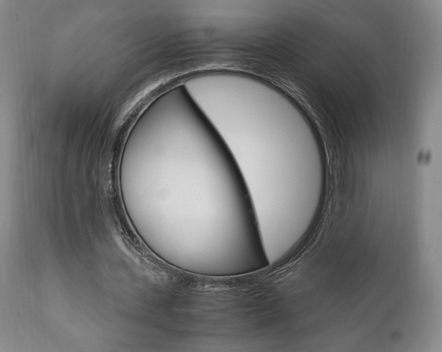 X0000111120531200906301044