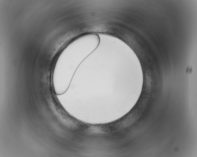 X0000111120534200906301044