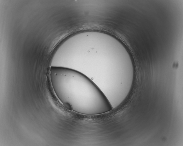 X0000111120538200906301044