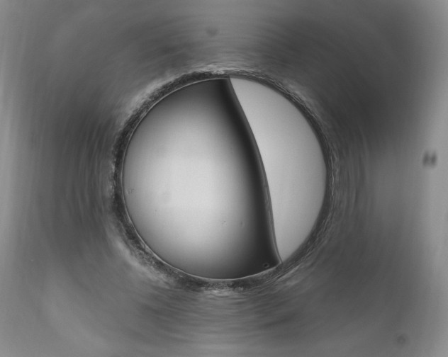 X0000111120540200906301044