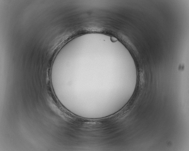 X0000111120541200906301044