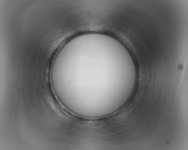 X0000111120542200906301044