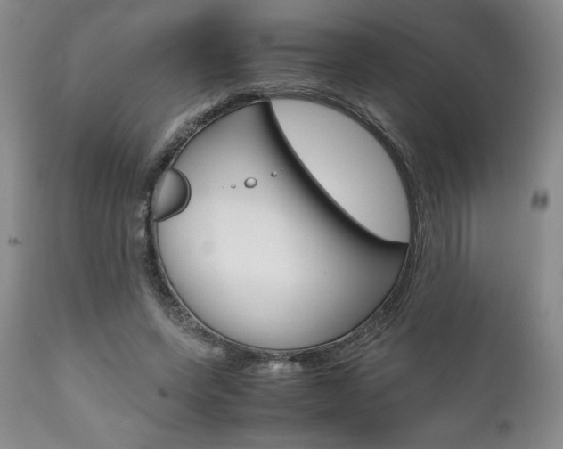 X0000111120543200906301044