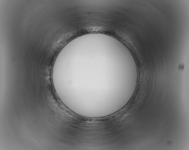 X0000111120545200906301044