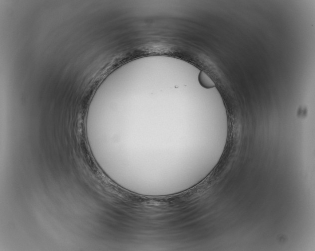 X0000111120549200906301044