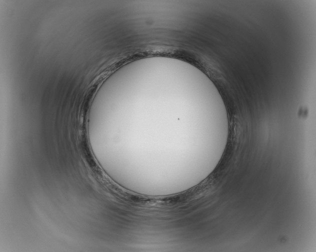 X0000111120550200906301044